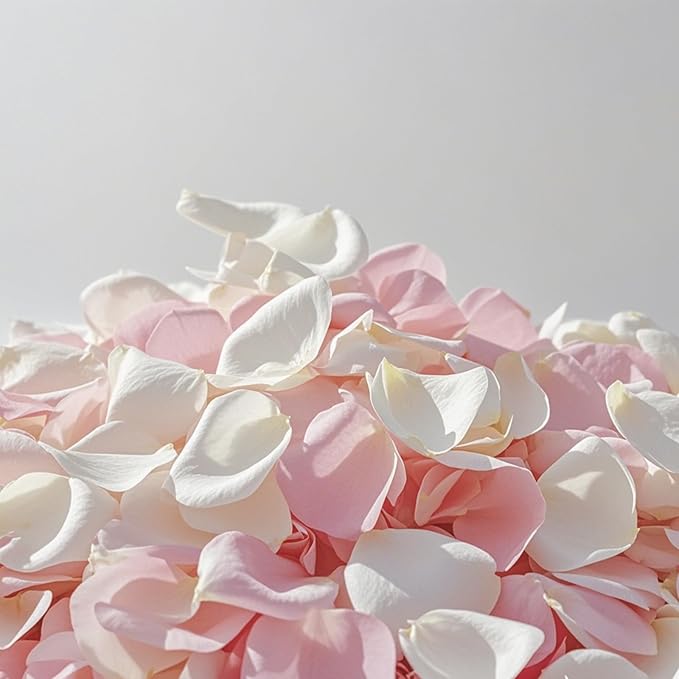 Dried & Preserved Flowers