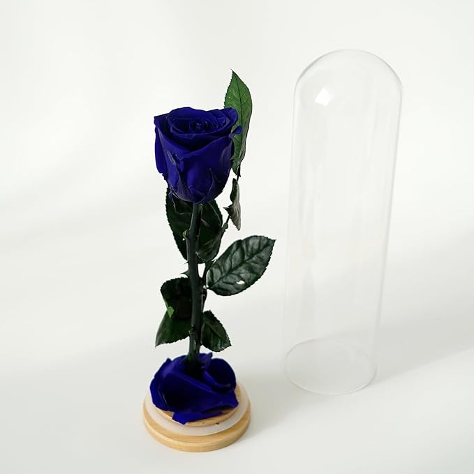 9.8 inches Preserved Rose in Glass Dome Rose with Green Leaves Eternal Love and Natural Beauty for Grandma Mom Girlfriend Classmate Friend Lover (Royal Blue)