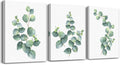 3 Piece framed Canvas Wall Art for living room bathroom Wall Decor Canvas Prints bedroom Decorations Office kitchen wall Artwork painting Green leaves Picture Watercolor painting Poster Home Decor