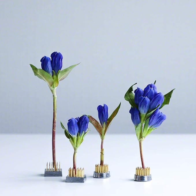 Wazakura 4PCS Mini Ikebana Kenzan Japanese Flower Holder, Made in Japan, Floral Arranging Pin Frog, Round Square - 1"(24mm) Brass
