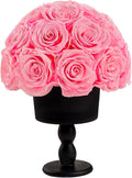 Eternal Rose Dome with Vintage Pedestal, 23 Forever Preserved Roses Arrangement for Home Decoration, Ideal Gift for Christmas,Valentine's Day, Mother's Day, Birthdays-Pink
