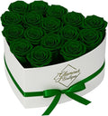 GLAMOUR BOUTIQUE Preserved Roses in a Box - Gifts for Her, Wife & Mom, Rose Flowers Forever Decor for Birthday Gift, Get Well Flower Bouquet Cased in White Box with Cover - Green - 16-Piece