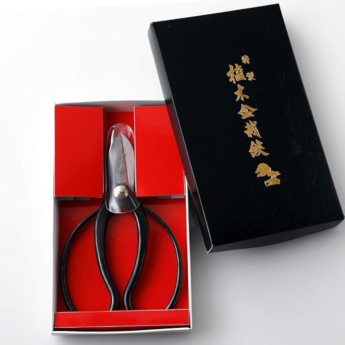 Wazakura Made in Japan Ikebana Tool Kit - Koryu Scissors + Black Kenzan Flower Holder, Japanese Floral Arrangement Set, Florist Shears and Pin Frog Gift Box Set - Koryu and Black Kenzan 3-1/4" (80mm)