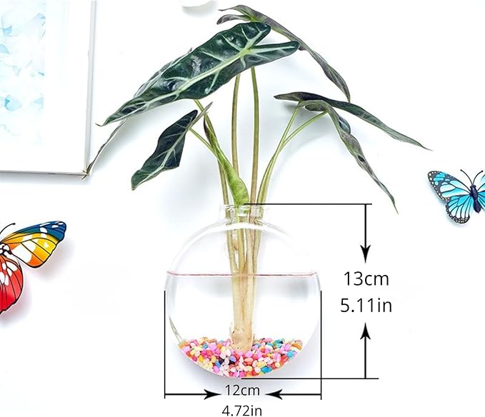 Wall-Mounted Acrylic Planter for Hydroponic Plants – Round Disc Vase Large, Modern Transparent Design for Home & Office Decoration