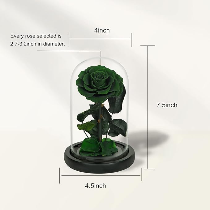 NATROSES Handmade Preserved Roses in Glass Dome, Green Roses, Preserved Flowers Gifts for Women, Mothers Day Flowers