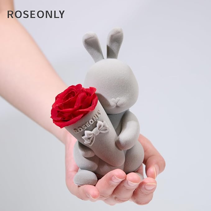roseonly. Preserved Rose with Sweet Bunny, Eternal Flowers Gifts for Women Girlfriend Wife Mothers Real Roses for Valentine's Day Christmas Birthday Mother's Day Anniversary (Mini)