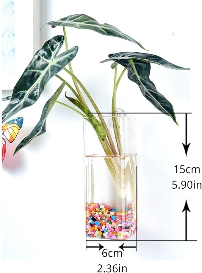 Wall-Mounted Acrylic Planter for Hydroponic Plants – Square Cup Vase, Modern Transparent Design for Home & Office Decoration