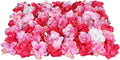 12Pcs 15.75"x 23.62"x0.79" Artificial Flower Wall Panels,Flower Wall Mat Silk Flower Panels for Outdoor Garden Backyard Fence Fence Privacy Screen and Indoor Wall Decor (12Pcs Red Pink)