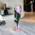 9.8 inches Preserved Rose in Glass Dome Rose with Green Leaves Eternal Love and Natural Beauty for Grandma Mom Girlfriend Classmate Friend Lover (Lilac)