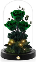 Christmas Flowers Roses Gifts for Mom,Forever Real Preserved Roses in Glass Dome,Christmas Anniversary Thanksgiving Gifts for Wife Girlfriend Women Best Friend Grandma/Green Rose