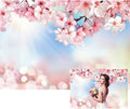 Renaiss 9x6ft Cherry Blossom Floral Backdrop Pink Flower Sunshine Bokeh Romantic Nature Scenery Photography Background for Wedding Bridal Shower Birthday Party Decor Photo Booth Props