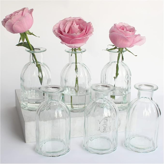 Bud Vases Set of 6 Small Glass Vase for Flowers, Clear Vase Set for Wedding Decor, Home Decorative Vases for Table Shelf, Mini Bud Vases in Bulk 2.85"X 5.4"