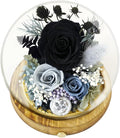 Preserved Real Rose Flowers in Glass Dome with LED Lights,Real Rose Flowers Unique Floral Gift for Girlfriend Mom Wife Girlfriend on Christmas Birthday Anniversary (Elegant Black)
