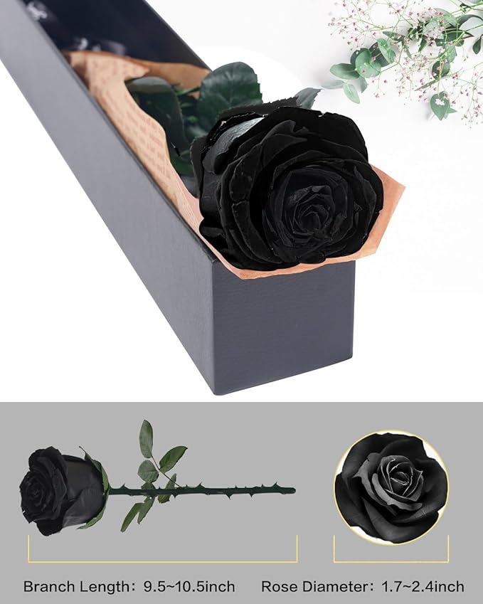 Black Preserved Flowers Gifts for Women: Roses for Birthday Wedding Gift for Girlfriend Wife Grandma Mom