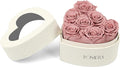 Rosaura Heart-Shaped Preserved Roses Gift Box - Real Forever Flowers for Birthday, Valentine's & Mother's Day (Cappuccino, 7 Roses)