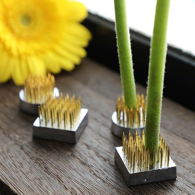 Wazakura 4PCS Mini Ikebana Kenzan Japanese Flower Holder, Made in Japan, Floral Arranging Pin Frog, Round Square - 1"(24mm) Brass