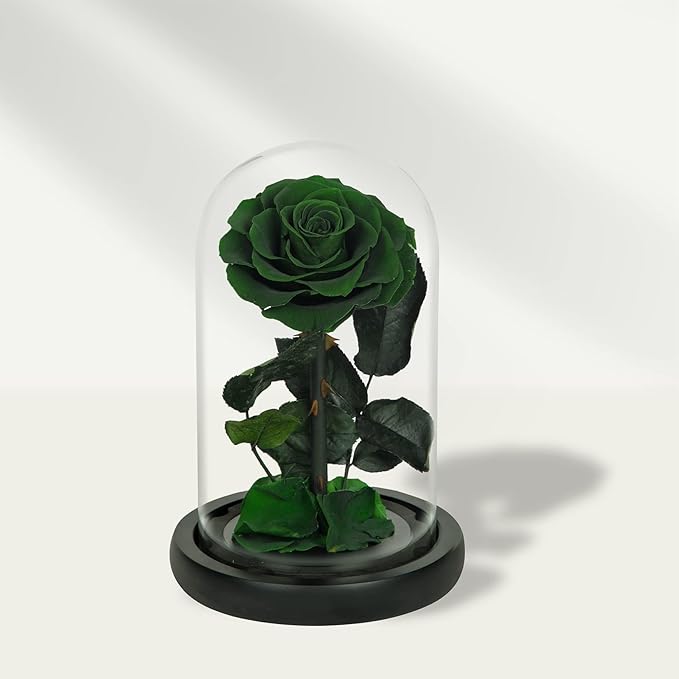 NATROSES Handmade Preserved Roses in Glass Dome, Green Roses, Preserved Flowers Gifts for Women, Mothers Day Flowers