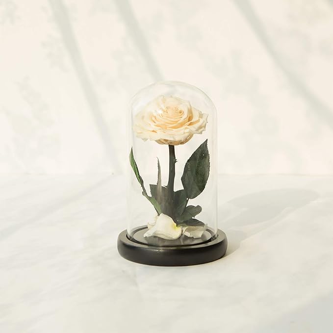 NATROSES Handmade Preserved Roses in Glass Dome, White Roses, Preserved Flowers Gifts for Women, Mothers Day Flowers