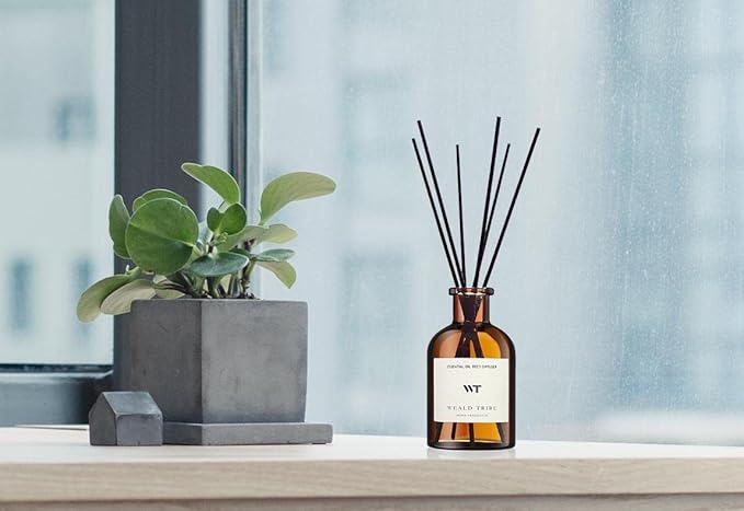 WEALD TRIBE Reed Diffuser Set for Bathroom Air Fresheners, Oil Diffuser Sticks | Sage & Sea Salt Scent 4.0 fl oz Home Fragrance with Sticks Defusers | House Bedroom Office Shelf Decor