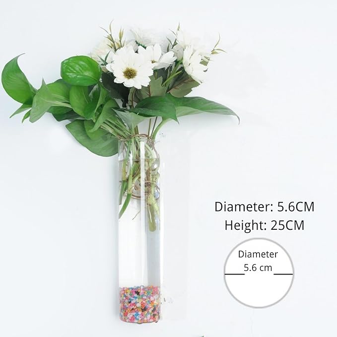 Wall-Mounted Acrylic Planter for Hydroponic Plants – Pipe Vase, Modern Transparent Design for Home & Office Decoration