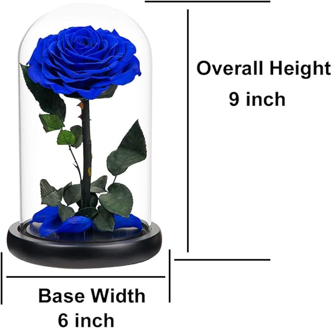 Preserved Roses Handmade Rose in Glass Dome, Preserved Flowers Never Withered Romantic Gifts for Her, Mother's Day, Birthday Gifts for Women (9 inch, Blue)