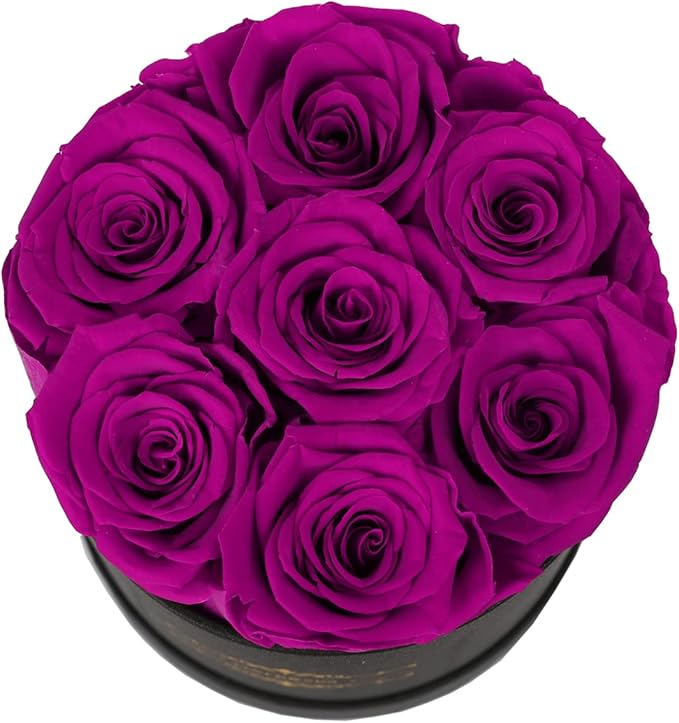 NATROSES 7 Piece Preserved Roses in a Box, Preserved Flowers for Birthday, Flower Gifts for Mothers Day (Purple)