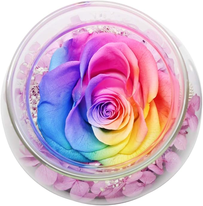 Preserved Real Roses with Colorful Mood Light Wishing Bottle,Eternal Rose，Never Withered Flowers,for Bedroom Party Table Decor, Christmas Anniversary,Valentine's,Mother's Day, (Multi)