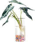Wall-Mounted Acrylic Planter for Hydroponic Plants – Square Cup Vase, Modern Transparent Design for Home & Office Decoration