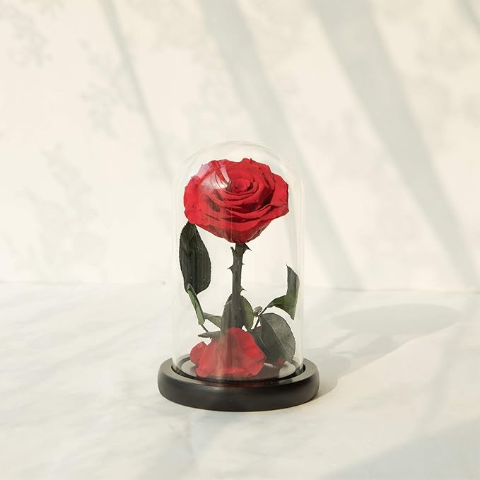 NATROSES Handmade Preserved Roses in Glass Dome, Red Roses, Preserved Flowers Gifts for Women, Mothers Day Flowers