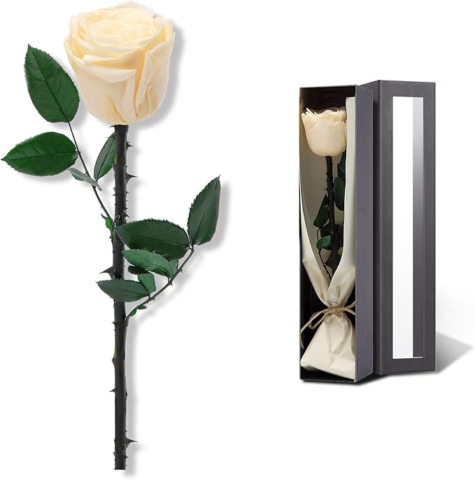 Champagne Flowers for Delivery Prime, Preserved Champagne Roses Flower Gifts for Women, Real Roses Single Rose Gifts for Her, Mom Birthday Gifts from Daughter, Valentines Flowers