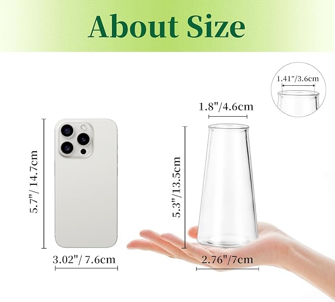Hewory Glass Bud Vases for Centerpieces: Small Clear Modern Flower Vase Set of 12, Minimalist Cute Mini Decorative Bulk Vases for Wedding Birthday Bridal Shower Party Events Dining Room Table Decor