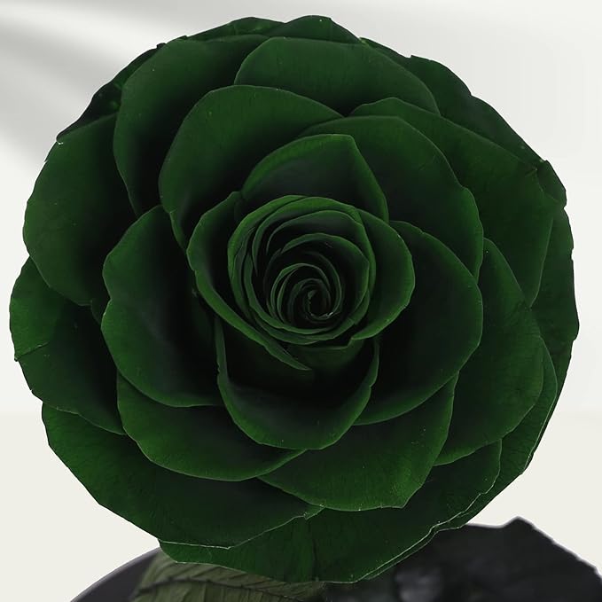 NATROSES Handmade Preserved Roses in Glass Dome, Green Roses, Preserved Flowers Gifts for Women, Mothers Day Flowers