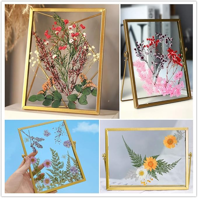 Vignee Real Dried Pressed Leaf Flowers-Multiple Colorful Pressed Flowers Daisies for Craft Resin Jewelry Making Art Craft DIY（Violet&Light Pink）