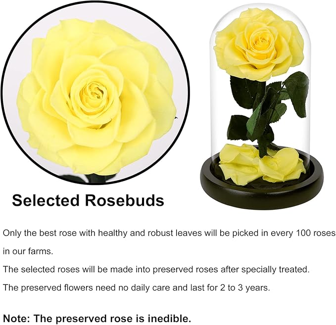NATROSES Handmade Preserved Roses in Glass Dome, Yellow Roses, Preserved Flowers Gifts for Women, Mothers Day Flowers