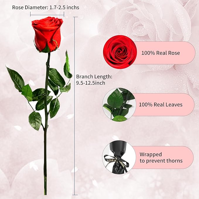 Red Single Forever Roses in a Box,Preserved Flowers for Delivery,Preserved Rose Gifts for Women, Real Roses Gift for Her, Mom Birthday Gifts, Mothers Day Flowers,Valentines Flowers