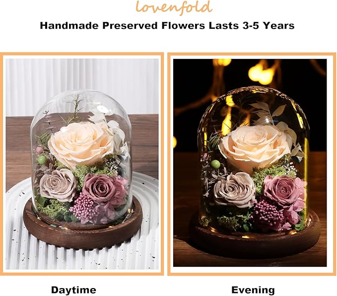 Lovenfold Flowers for Delivery Preserved Rose Gifts for Her,Forever Real Roses Flowers in Glass Dome,Birthday Gifts for Women Mom Wife Friend(Champagne Rose)
