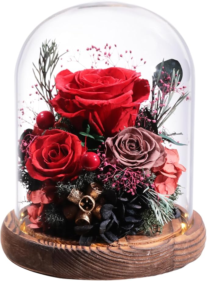 Flowers for Delivery Preserved Rose Gifts for Her,Long-Lasting Real Roses Flowers in Glass Dome,Birthday Gifts for Women Mom Wife Friend(Red Rose)