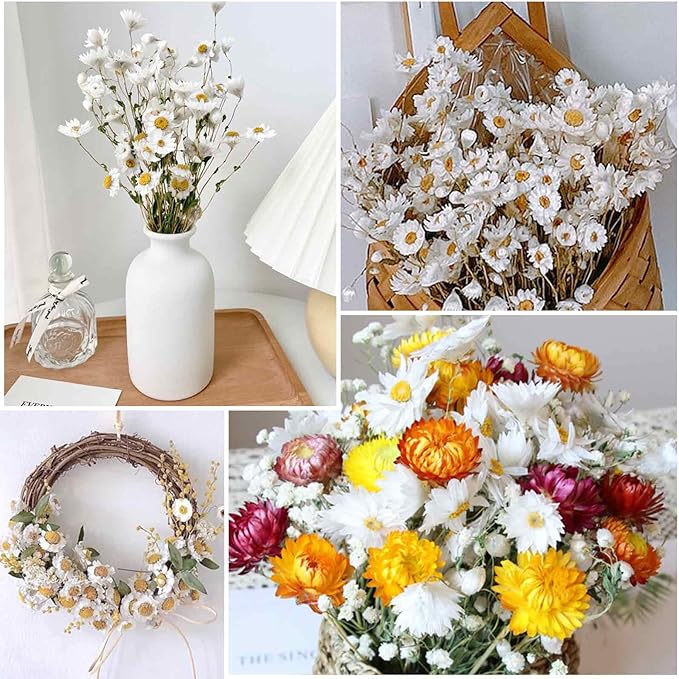 Dried Daisy Flowers Bouquet, 150+ Dry White Flowers, Artificial Sunflowers, 17'' Natural Gerber Daisies Arrangements for Farmhouse Vase Decor, Wedding, DIY Home Office Party Decoration