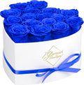 GLAMOUR BOUTIQUE Preserved Roses in a Box - Gifts for Her, Wife & Mom, Rose Flowers Forever Decor for Birthday Gift, Get Well Flower Bouquet Cased in White Box with Cover - Blue - 16-Piece