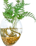 Transparent Acrylic Mouse-Shaped Wall Vase, Modern Minimalist Wall-Mounted Planter for Flowers or Hydroponic Plants, Decorative Hanging Vase for Living Room or Office