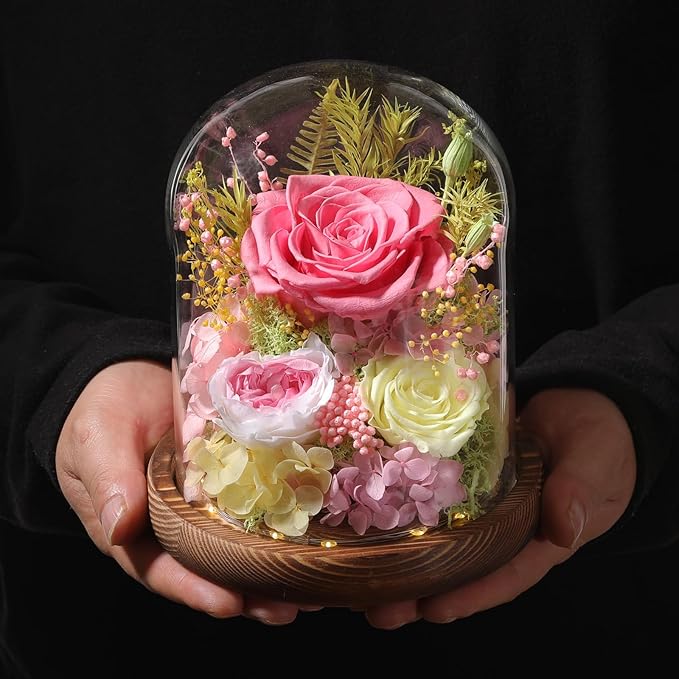 Flowers for Delivery Prime Preserved Flowers Pink Roses with LED Light in a Glass Dome,Long Lasting Real Roses Birthday Gifts for Women Daughter Mom Wife Friend（Pink Rose）