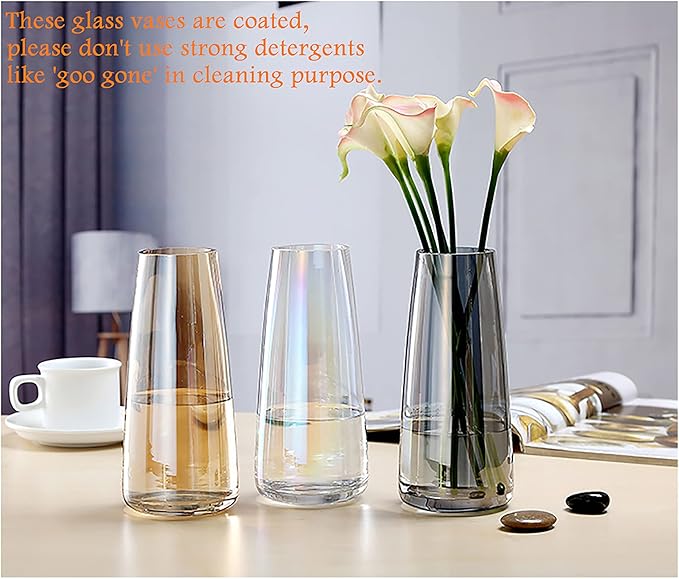FANTESTICRYAN Modern Glass Vase Irised Crystal Clear Glass Vase for Home Office Decor (Neon Clear)