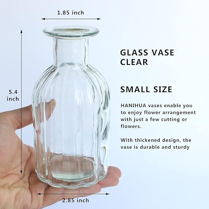 Bud Vases Set of 6 Small Glass Vase for Flowers, Clear Vase Set for Wedding Decor, Home Decorative Vases for Table Shelf, Mini Bud Vases in Bulk 2.85"X 5.4"