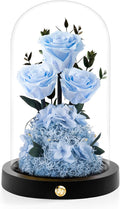 Christmas Flowers Roses Gifts for Mom,Forever Real Preserved Roses in Glass Dome,Christmas Anniversary Thanksgiving Gifts for Wife Girlfriend Women Best Friend Grandma/Blue