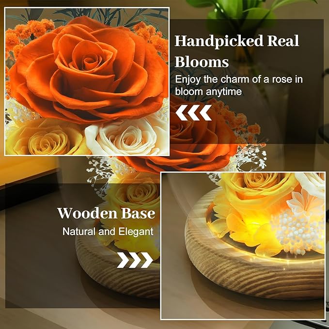 Preserved Rose Birthday Gifts for Women Preserved Flowers in Glass Dome Forever Fresh Flowers for Delivery Prime Red Eternal Rose Gifts for Her Valentines Day Anniversary for Wife Girlfriend