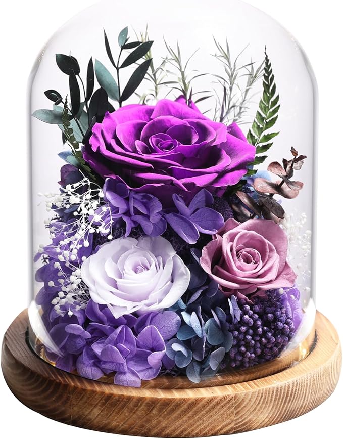 Flowers for Delivery Preserved Rose Gifts for Women,Long-Lasting Real Flowers in Glass Dome, Birthday Gifts for Women Mom Friend(Purple Rose)