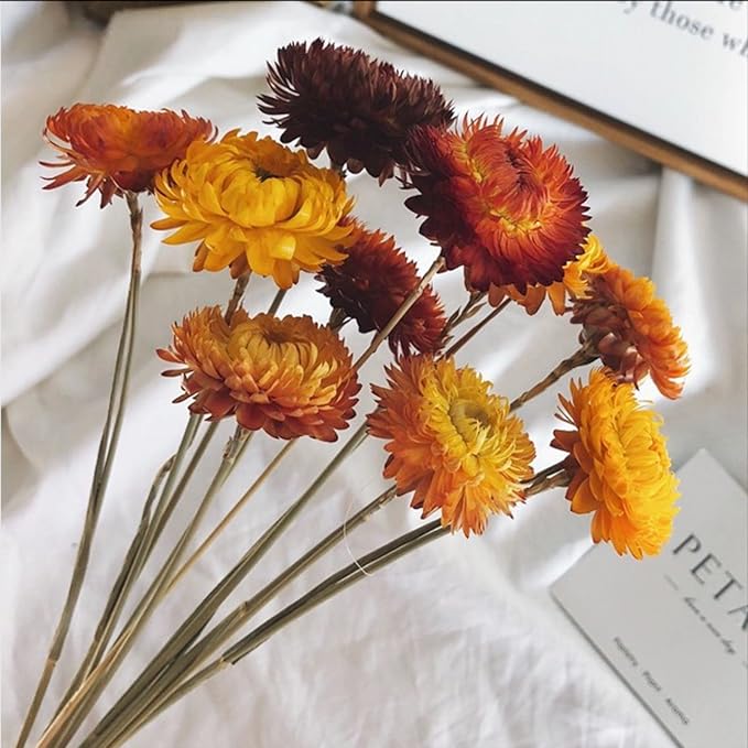 Dried Flowers Natural Daisy Mums Flower - 20 Stems Multicolor Daisies Artificial Sunflowers, Dry Fall Orange Flowers Bouquets for Vase, Wedding Home Farmhouse Decor, DIY Table Centerpiece Decoration