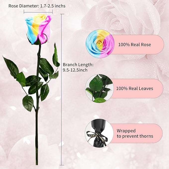 Single Forever Roses in a Box,Preserved Flowers for Delivery,Preserved Rose Gifts for Women,Real Roses Gifts for Her,Mom Birthday Mothers Day Valentines Flowers,Rainbow