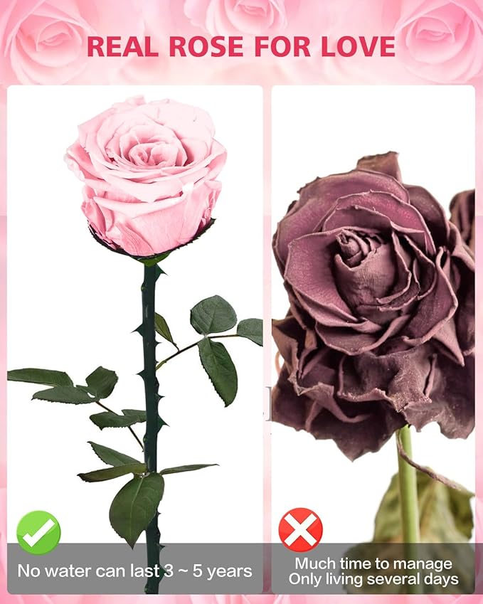 Pink Preserved Flowers Gifts for Women: Eternal Rose Birthday Christmas Anniversary for Mom Girlfriend Wife Grandma