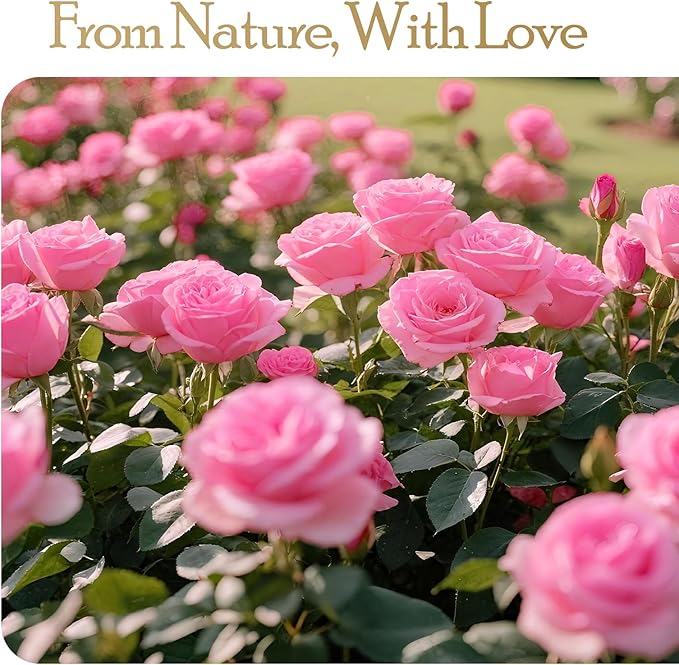 16 Preserved Flowers Rose Birthday Gifts for Women Her Mom Wife Girlfriend Grandma on Valentines Mothers Day Christmas Anniversary Romantic(Pink)
